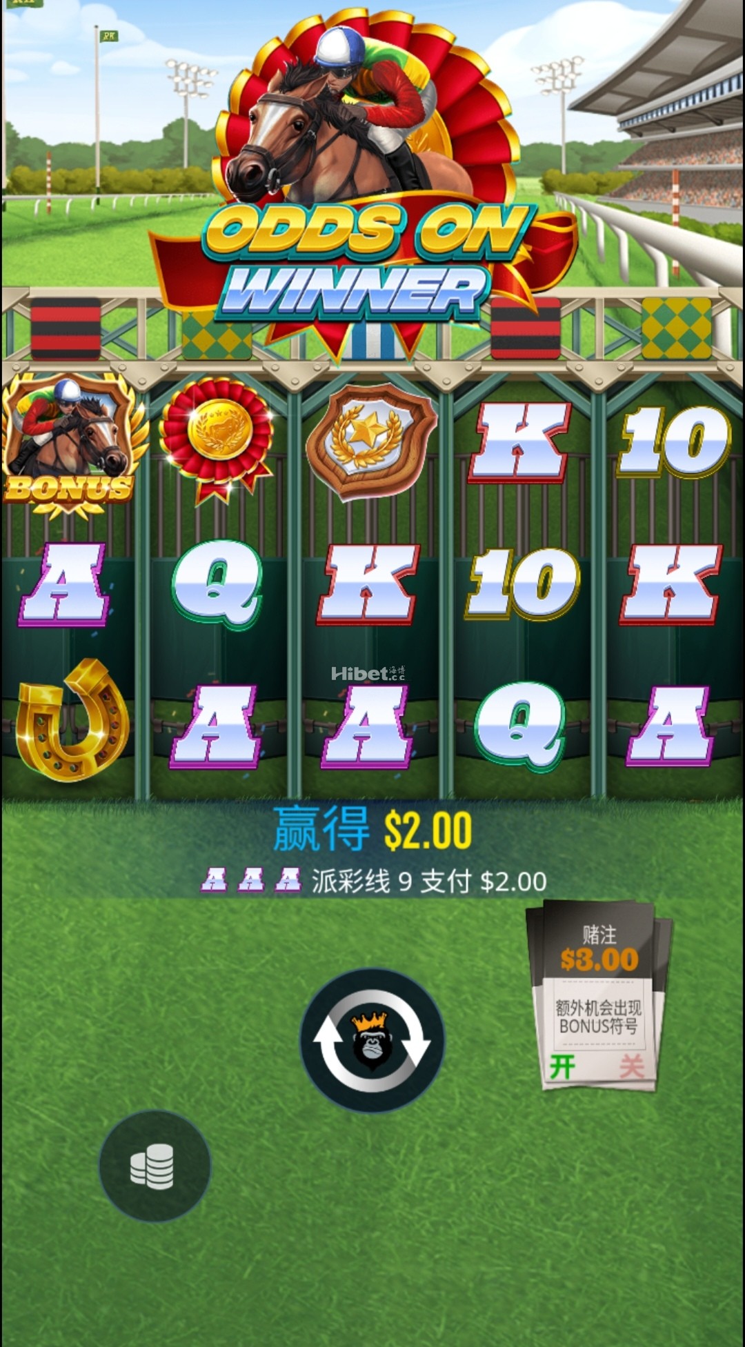 d4.jpg